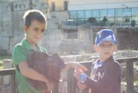 IMG 3561 web